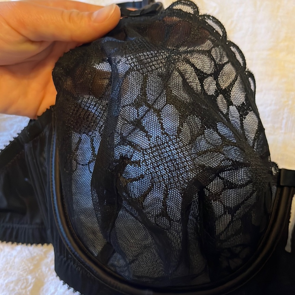 Parfait Black Lace Bra 30F